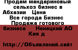 Продам мандариновый сельхоз-бизнес в Абхазии › Цена ­ 1 000 000 - Все города Бизнес » Продажа готового бизнеса   . Ненецкий АО,Кия д.